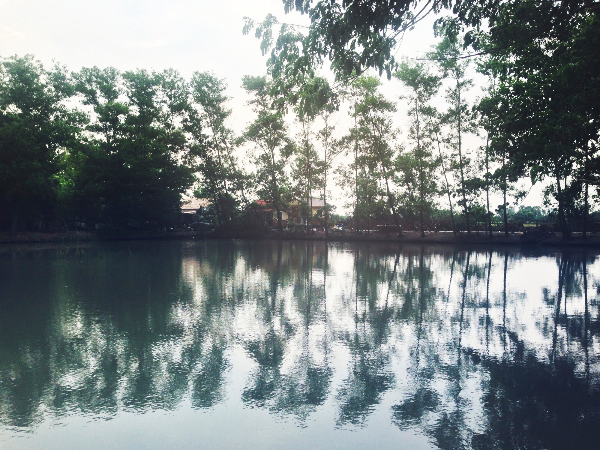 Reflejos serenos
